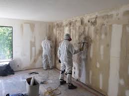 Trusted Elizabethtown, PA Mold Inspection Experts